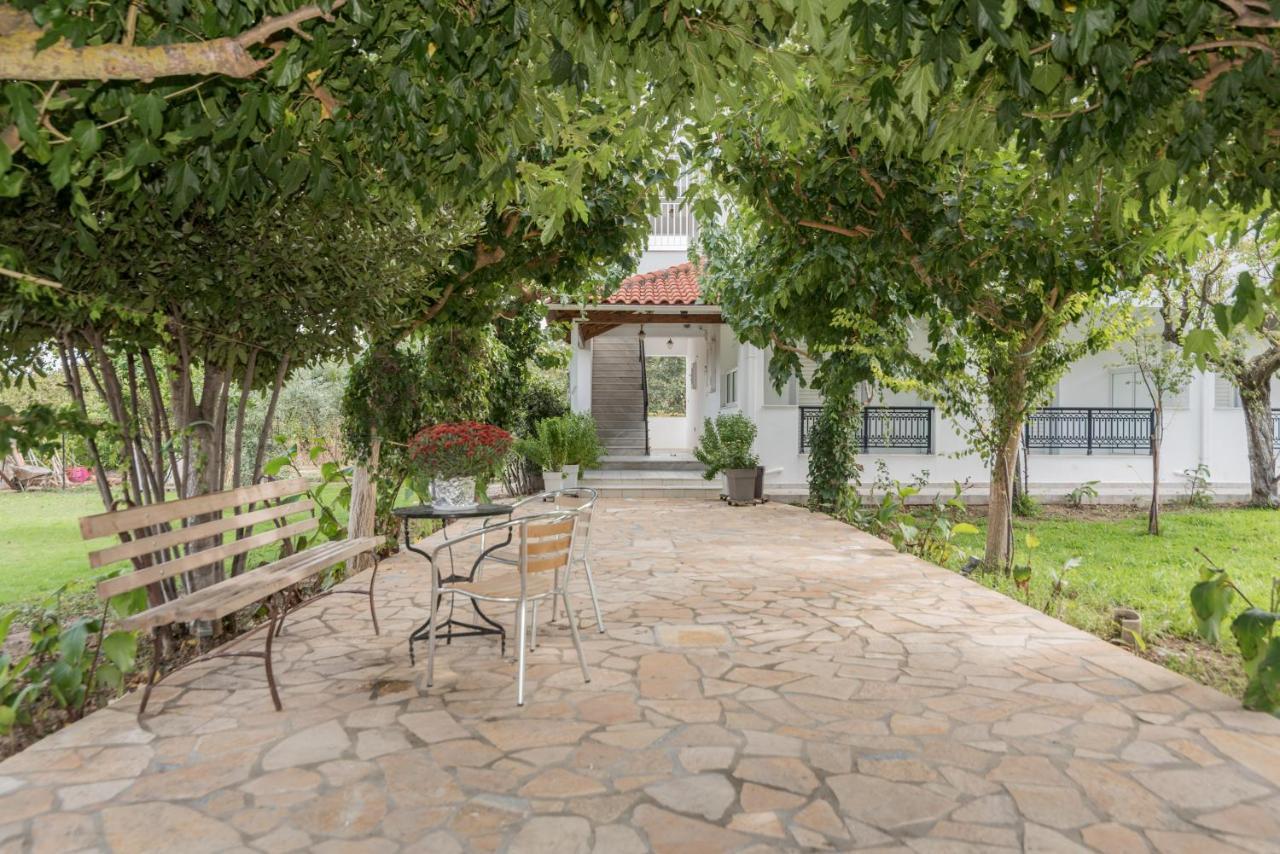 Yiota Studios Αλυκών Εξωτερικό φωτογραφία
